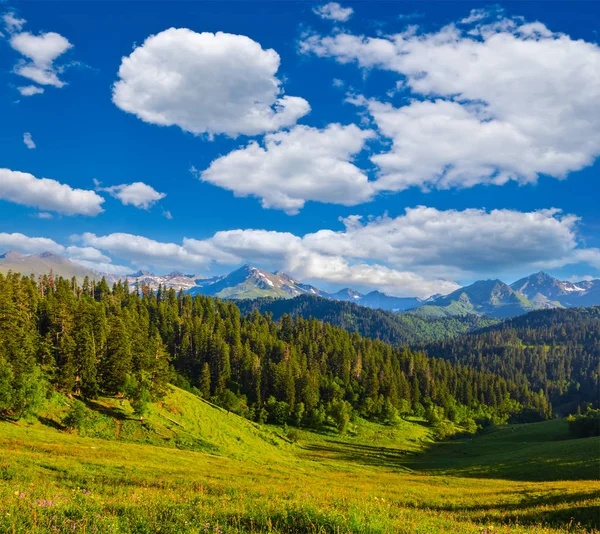 Bergdal Met Bos Onder Een Bewolkte Hemel — Stockfoto