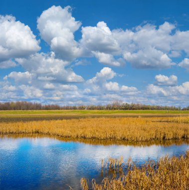 bir bulutlu gökyüzü yaz sahne altında prairies arasında küçük mavi göl
