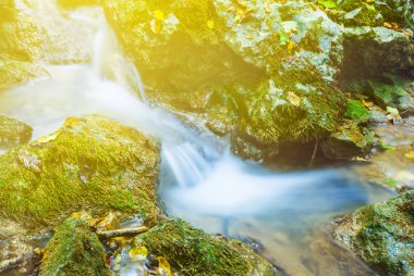 küçük portre şelale acele bir dağ nehir üzerinde