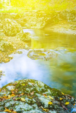 closeup sonbahar dağ nehir yüzen kuru ile yaprakları