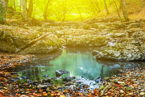 乾燥の秋山渓谷の小さなエメラルド池 — ストック写真