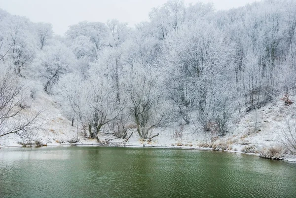 Liten Smaragdgrön Sjö Bland Vinter Insnöad Skog — Stockfoto