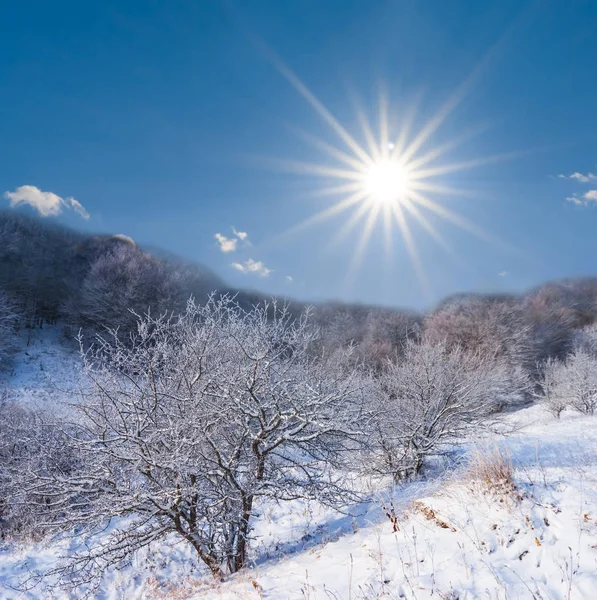 Scena Invernale Valle Montagna Una Neve Sotto Sole Scintillante — Foto Stock