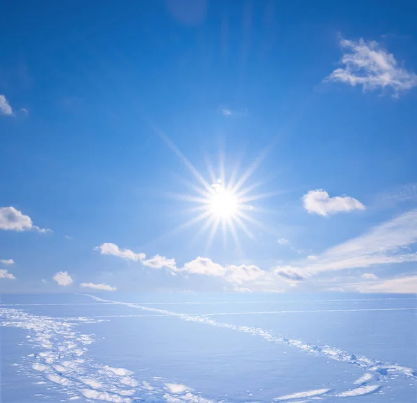 Winter Plain Snow Sunny Day — Stock Photo, Image