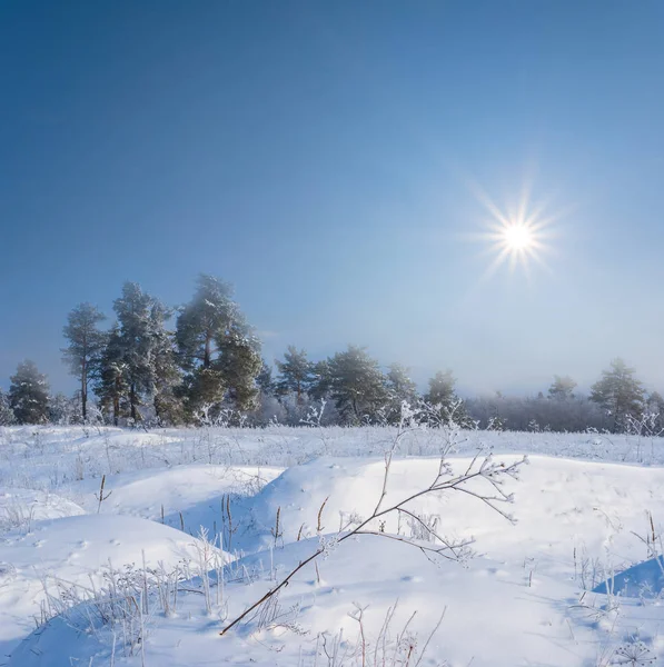 阳光明媚的日子 冬天的平原在下雪 — 图库照片