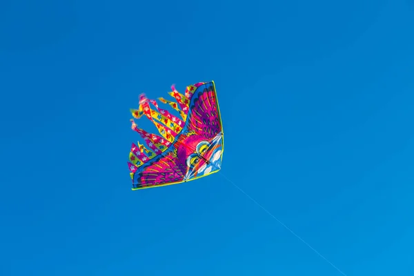 Varicoloured Kite Fly Blue Sky Background — Stock Photo, Image