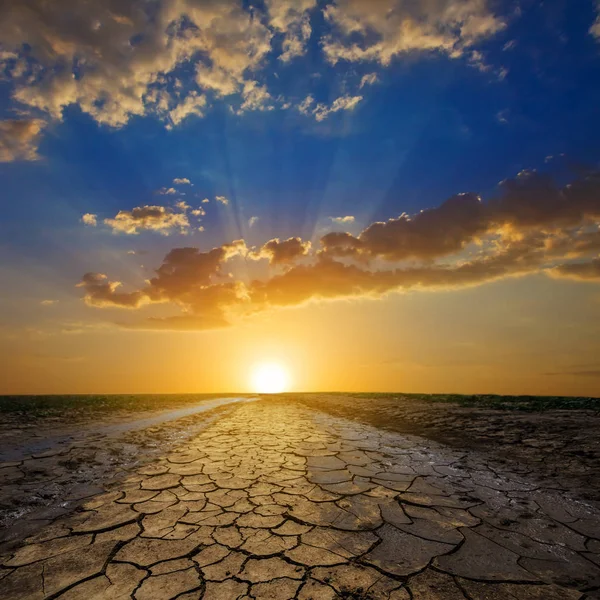 Trockene Straße Einem Riss Bei Sonnenuntergang — Stockfoto