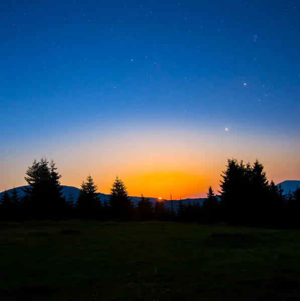 forest glade at the early morning, dawn landscape