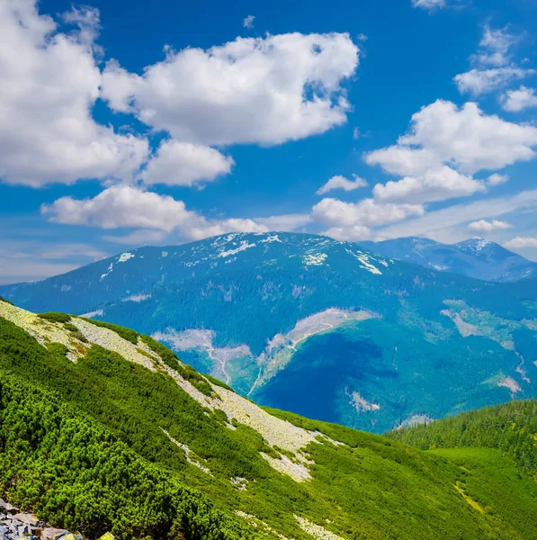 güzel yeşil dağ manzarası