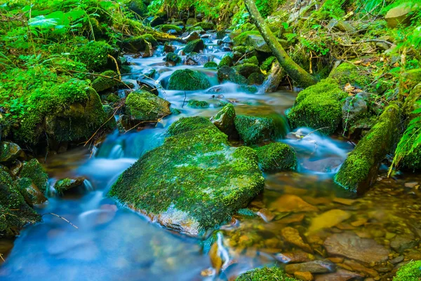 Pequeño Arroyo Montaña Corriendo Fondo Natural — Foto de Stock