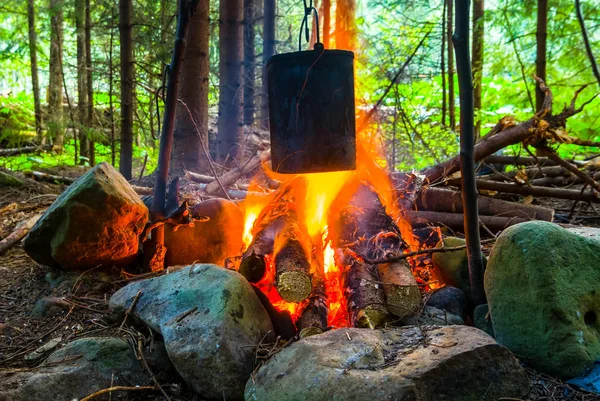 Bir Ormandaki Kazan Pişirme Ile Turistik Kamp Ateşi — Stok fotoğraf
