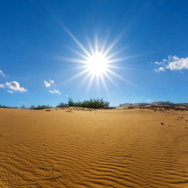 Hete Zomer Zand Woestijn Onder Een Sparkle Zon — Stockfoto