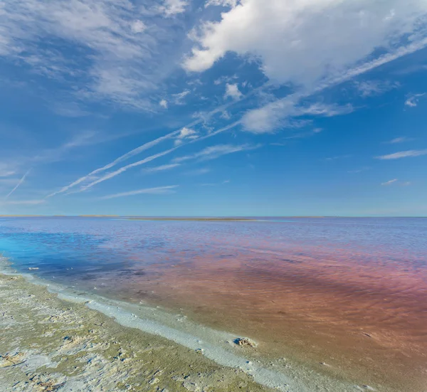 Rosarote Salzsee Szene Mit Küste — Stockfoto