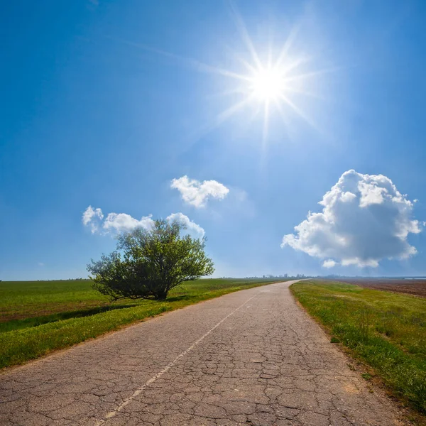 Sıcak Yaz Gününde Yeşil Prairies Arasında Yol — Stok fotoğraf