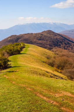 bir yana bir ormanla uzun dağ sırtı