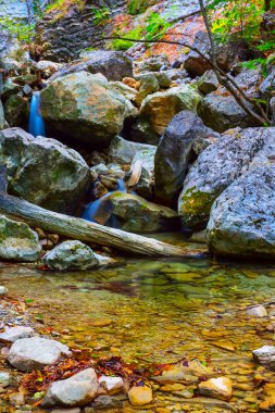 tatlı küçük dağ Kanyon creek