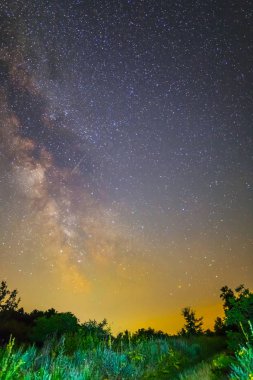 gece sahne Samanyolunun orman glade yukarıda