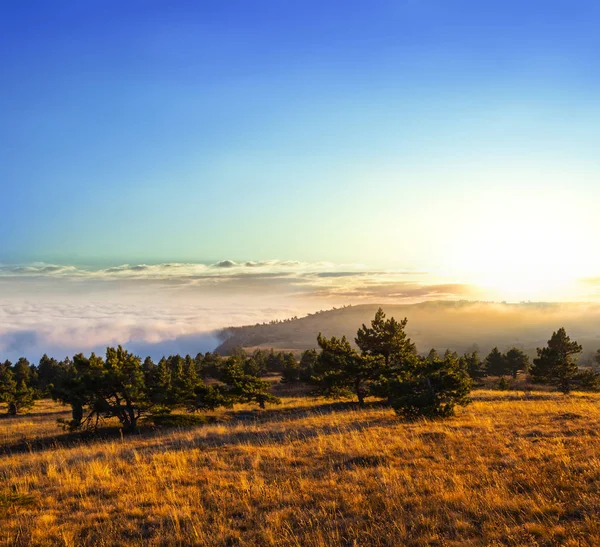 Erken Sabah Yoğun Bulutlar Dağ Plato — Stok fotoğraf