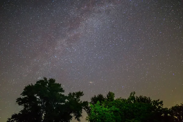 Inci Meşe Ağaçları Yukarıda Gece Yıldızlı Gökyüzü Ile Samanyolu — Stok fotoğraf