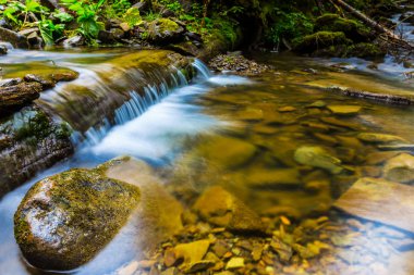 riwer dağın kanyonda acele