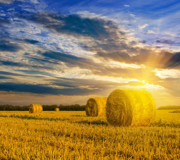 Summer Wheat Field Haystack Sunset — Stock Photo, Image