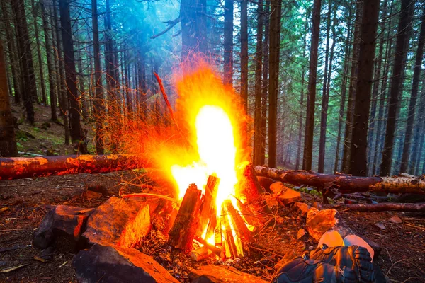 Gros Plan Feu Camp Dans Une Forêt — Photo