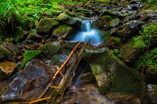 Small Creek Rushing Wet Mountain Forest — Stock Photo, Image