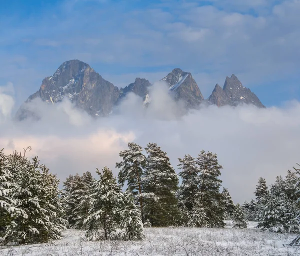 Χειμώνα Μεσονυκτίου Πευκοδάσος Πριν Από Μια Κορυφογραμμή Βουνού — Φωτογραφία Αρχείου