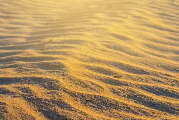 Primo Piano Deserto Sabbia Sfondo Una Luce Del Sole — Foto Stock