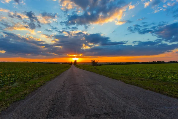 Asfaltová Silnice Mezi Zelenými Poli Západu Slunce — Stock fotografie