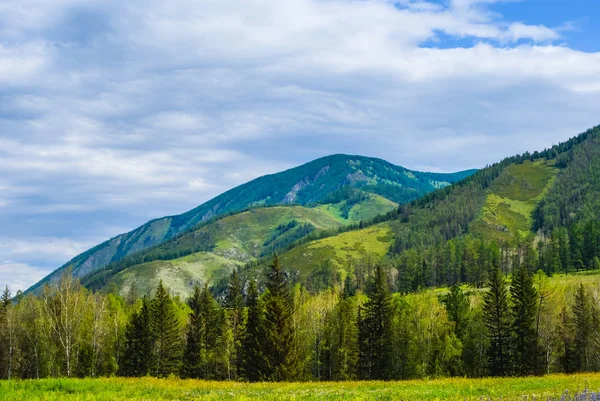 Montanhas Verdes Com Uma Floresta Céu Nublado — Fotografia de Stock