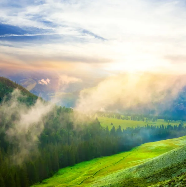 Groene Berg Vallei Scene Bij Zonsondergang — Stockfoto