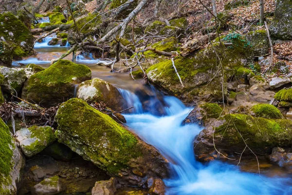tatlı küçük dere Kanyon içinde taşlar üzerinde acele