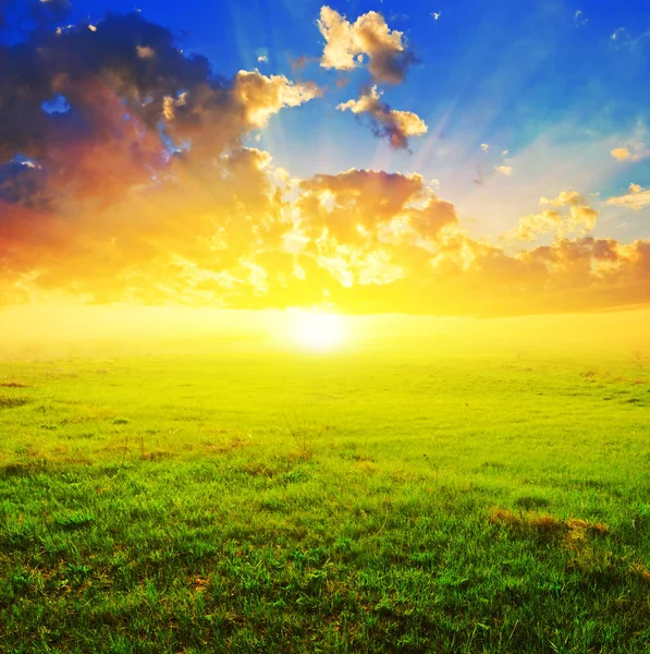 Dramatic Sparkle Sunset Green Fields — Stock Photo, Image