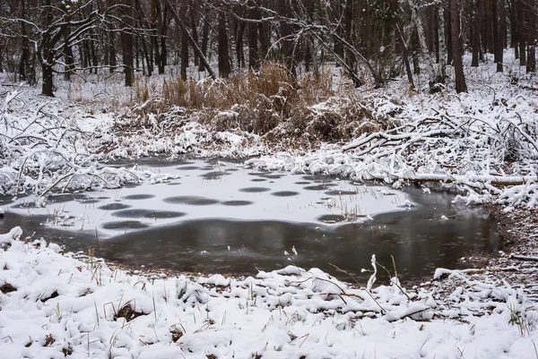 Winter Verschneiter Wald Mit Wasserteich — Stockfoto