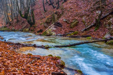 Kanyonda sonbahar acele dağ nehir