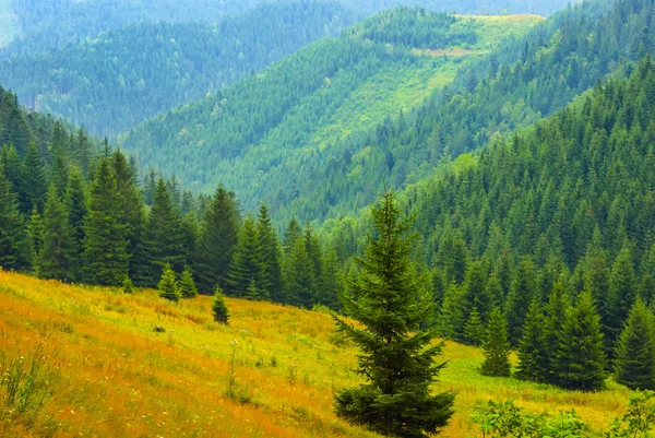 美しい緑の山の谷 — ストック写真