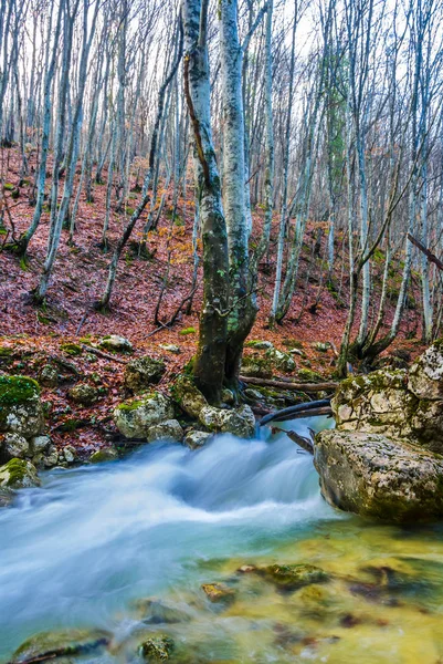 Gyönyörű Folyó Rohant Őszi Hegyi Canyon — Stock Fotó