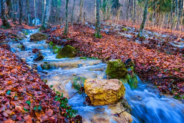 Fiume Montagna Che Scorre Nella Foresta Autunnale — Foto Stock