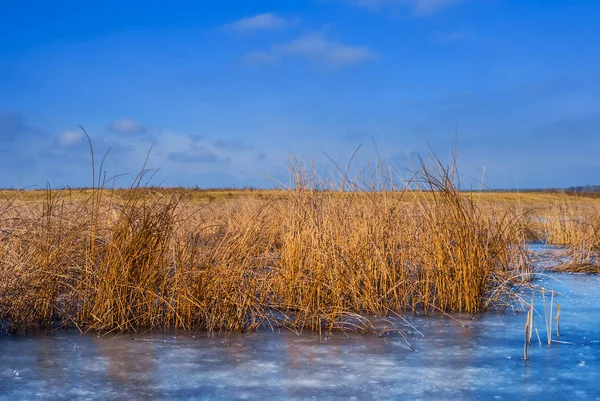 冬天结冰的湖面场景 — 图库照片