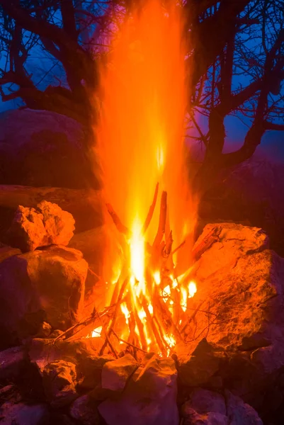 Closeup Camp Fire Forest Night — Stock Photo, Image