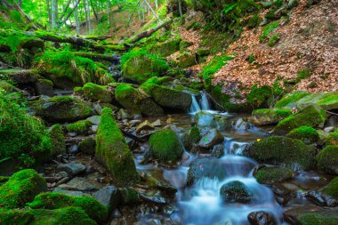 küçük dere bir dağ kanyonda acele