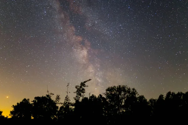 Silueta Del Bosque Nocturno Bajo Una Vía Lechosa —  Fotos de Stock