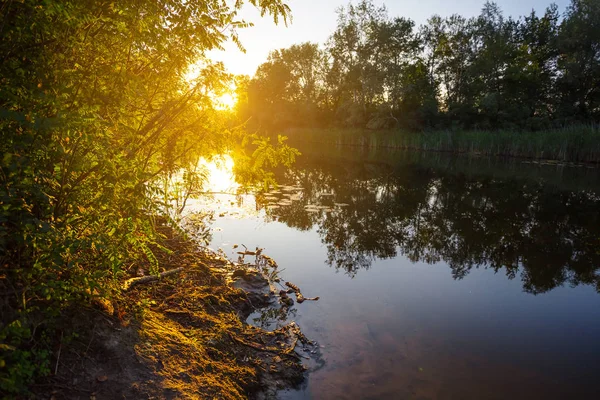 Tranquilo Atardecer Verano Sobre Río — Foto de Stock