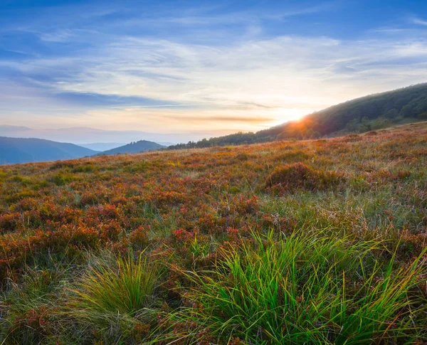 Coucher Soleil Dans Une Montagne Verte Été — Photo