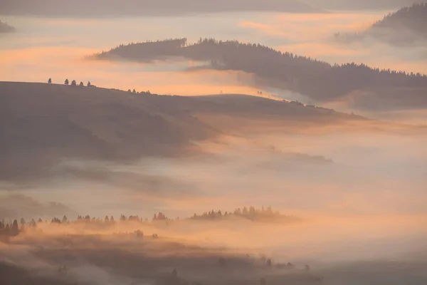 Horské Údolí Mlze Ranní — Stock fotografie