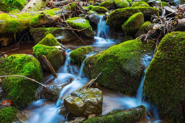 Kleine Beek Haasten Ower Stenen Een Groene Mos — Stockfoto