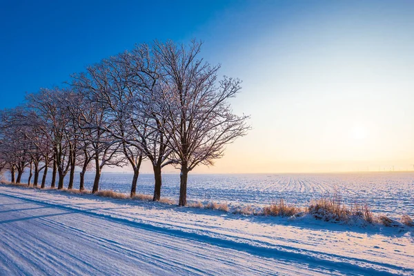 Neve Estrada Inverno Através Das Árvores Início Manhã — Fotografia de Stock