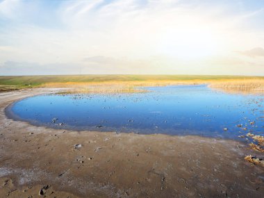 güzel küçük gölet bir kir batımında arasında
