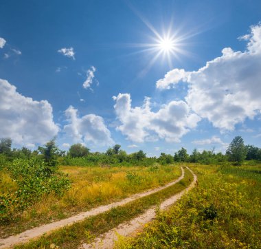 toprak yolda bir sıcak yaz çayır